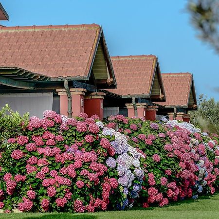 La Pecora Ladra Appartamenti Montalto di Castro Zewnętrze zdjęcie