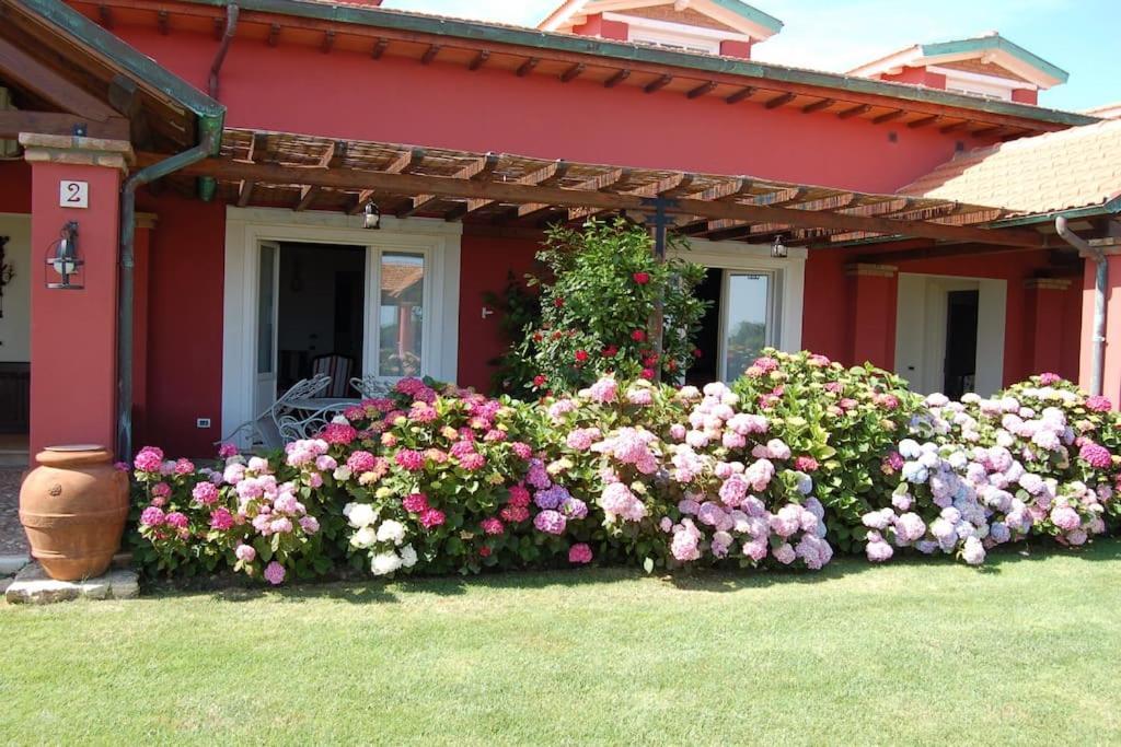 La Pecora Ladra Appartamenti Montalto di Castro Zewnętrze zdjęcie